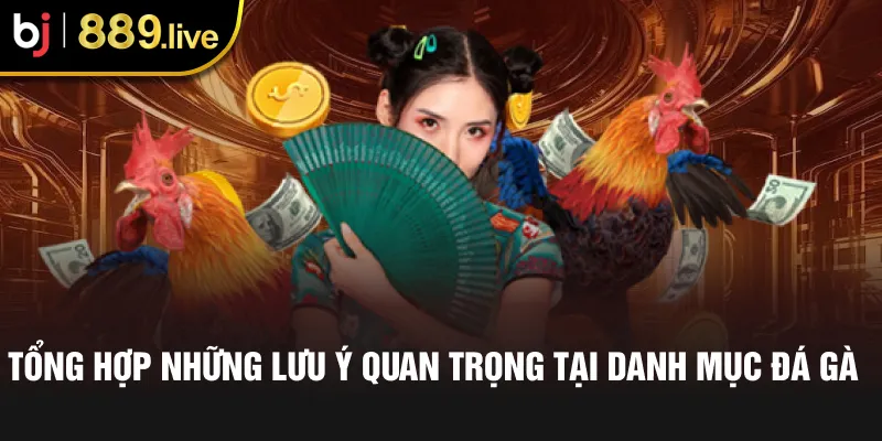 Tổng hợp những lưu ý quan trọng tại danh mục đá gà