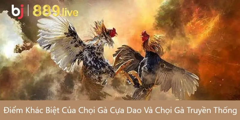 Điểm Khác Biệt Của Chọi Gà Cựa Dao Và Chọi Gà Truyền Thống