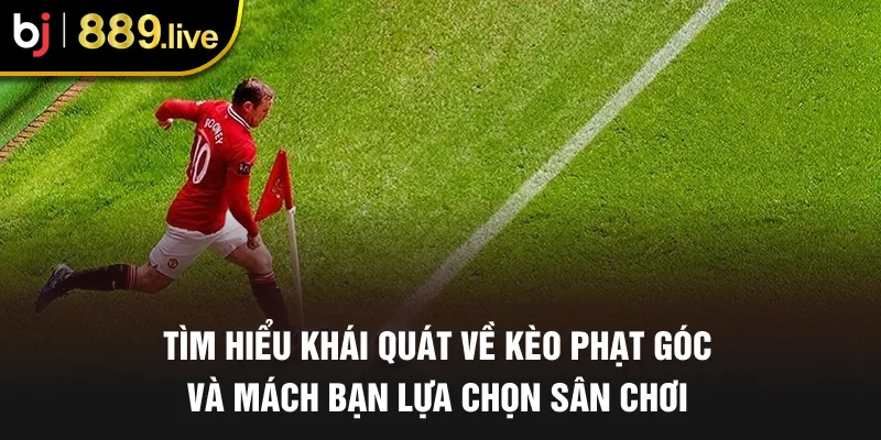 Tìm hiểu khái quát về kèo phạt góc và mách bạn lựa chọn sân chơi