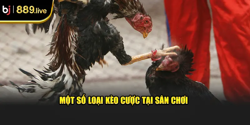 Một số loại kèo cược tại sân chơi