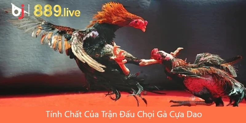 Tính Chất Của Trận Đấu Chọi Gà Cựa Dao